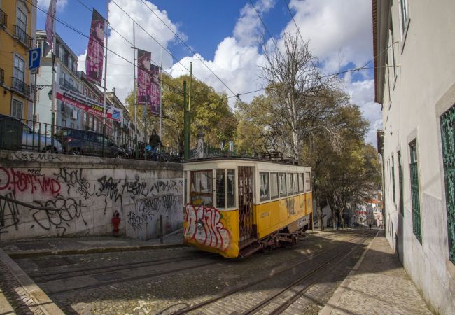 Apartamento en Lisboa ciudad - Historical Lisbon Apartment