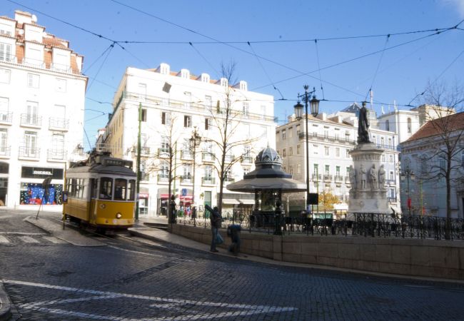 Apartamento en Lisboa ciudad - Historical Lisbon Apartment