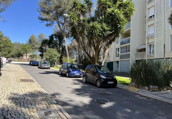 Apartamento en Cascais - Guia Acacias Apartment