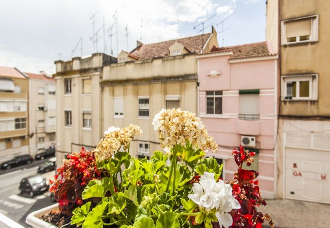 Apartamento en Lisboa ciudad - Calado E