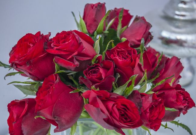 Appartement à Lisbonne - Calado E