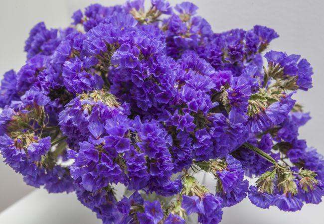 Apartamento em Lisboa - Calado Duplex