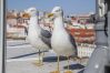 Apartment in Lisbon - Carmo Chiado