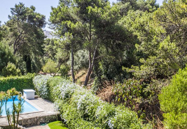 Apartment in Cascais - Ereira with Pool in Cascais