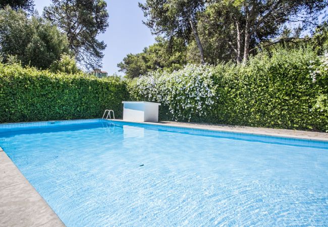 Apartment in Cascais - Ereira with Pool in Cascais