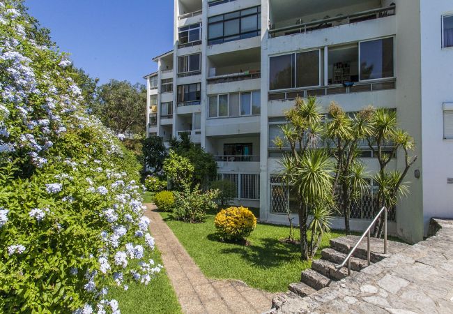 Apartment in Cascais - Ereira with Pool in Cascais