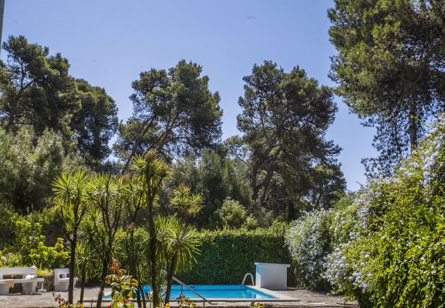 Apartment in Cascais - Ereira with Pool in Cascais